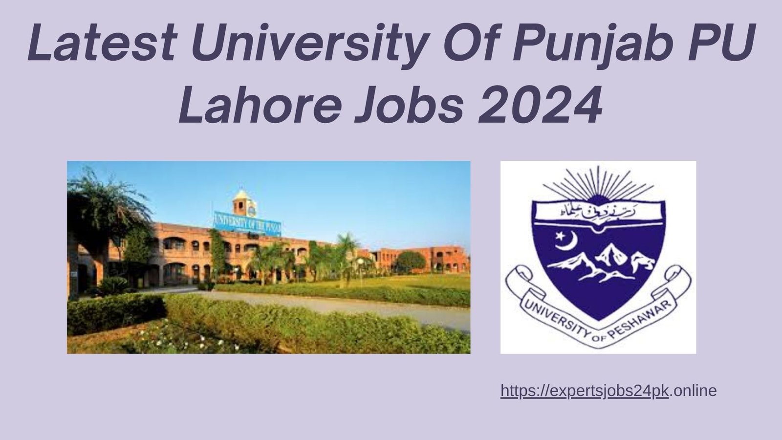 Latest University Of Punjab PU Lahore Jobs 2024