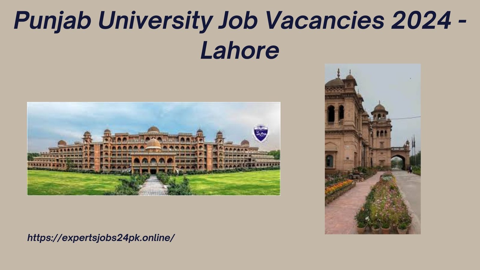 Punjab University Job Vacancies 2024