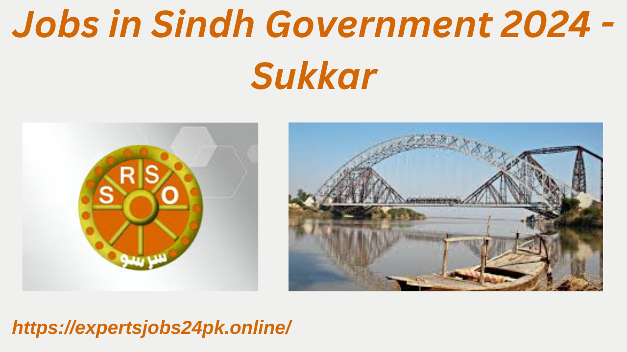 Jobs in Sindh Government 2024 - Sukkar