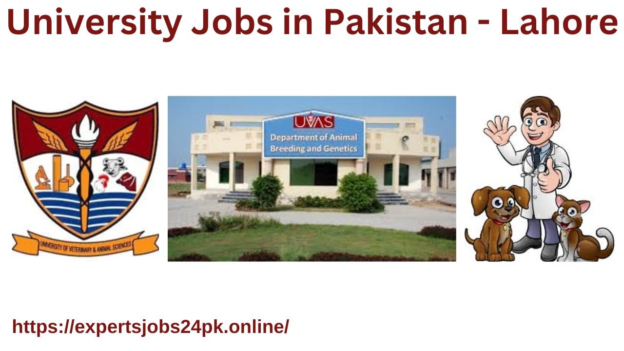 University Jobs in Pakistan - Lahore